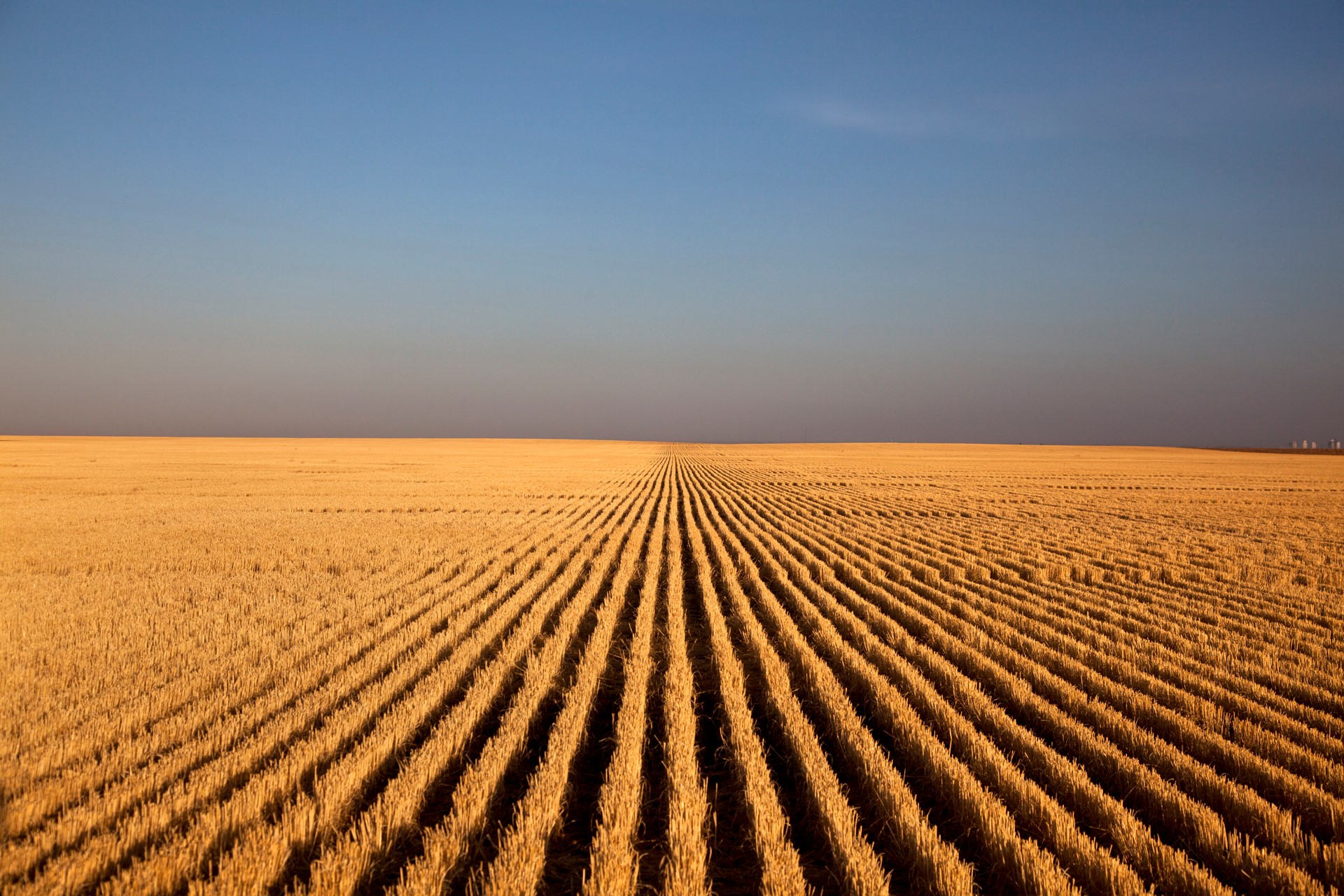 The Wichita Art Museum is exhibiting “Kansas Land: Farm Photography by Larry Schwarm and Bryon Darby with University of Kansas Faculty” through January 2019. The exhibit explores many facets of farming and how it has evolved. Photos include Schwarm’s “Wheat Stubble at Sunrise, Lane County.”